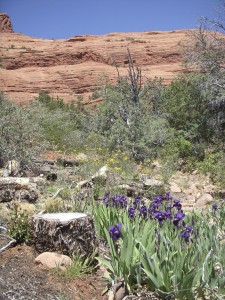 Sedona's Jim Thompson Trail is a worthy hike, even for beginners.