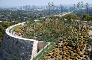 This cactus garden is just one of many on the Getty Center grounds.