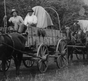 Black-and-white photo of pioneers in covered wagons
