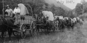 Line of pioneers in covered wagons, black-and-white photograph
