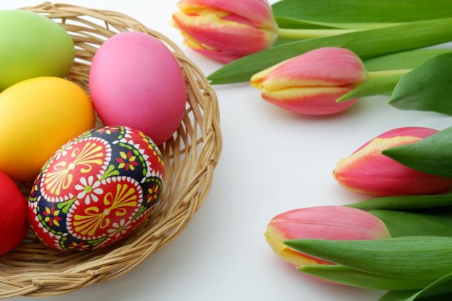 Pink tulips, colored eggs, one fancy painted egg, in basket