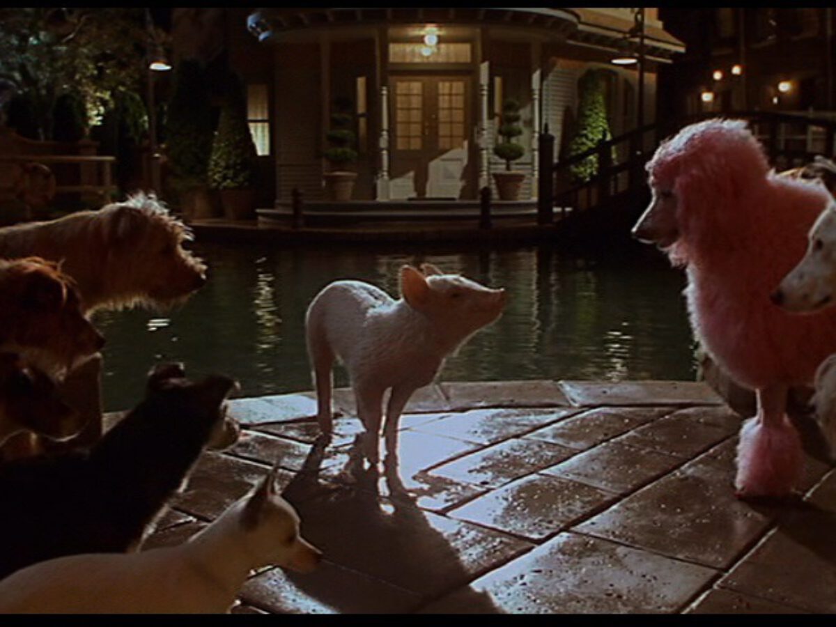 BABE: Pig in the City (1998) • Visual Parables